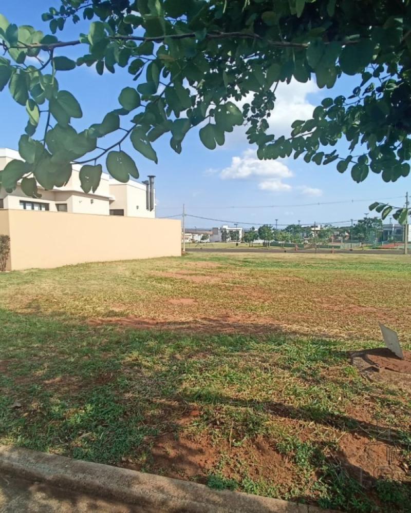 VENDA