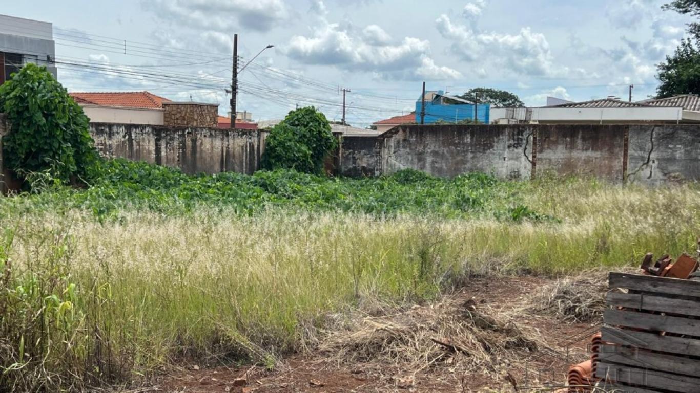 TERRENO NA Centro em Assis