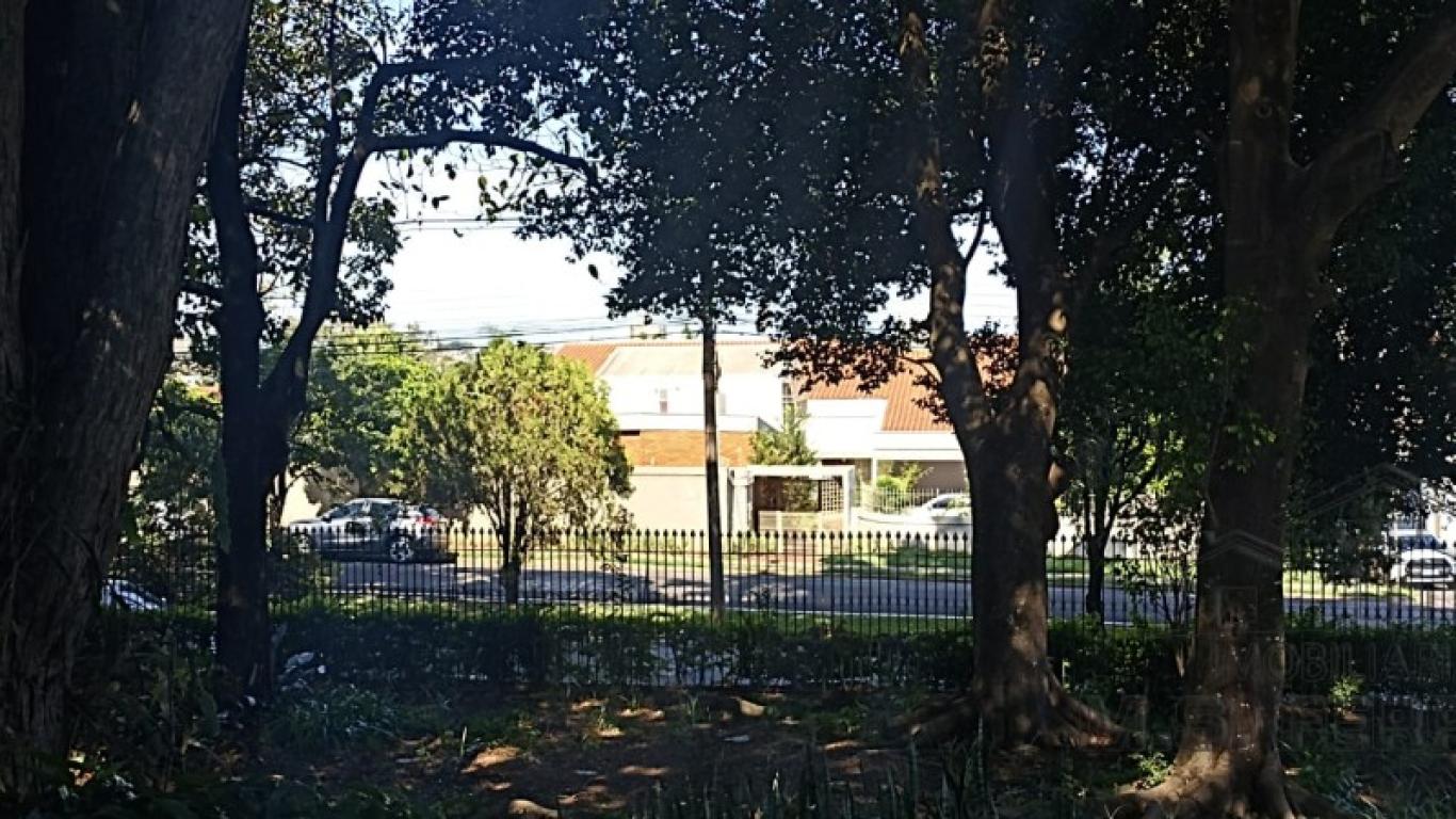 VENDA!!!