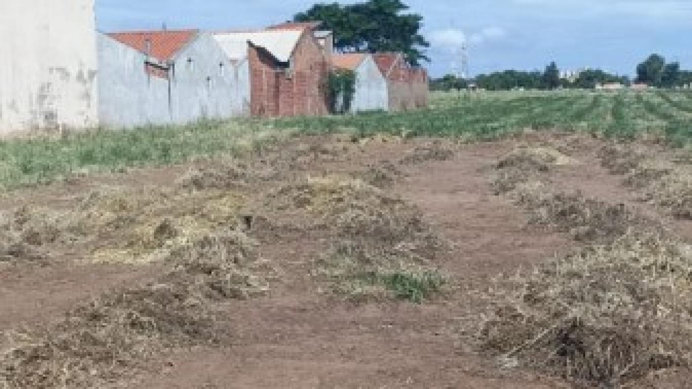 VENDA!!!