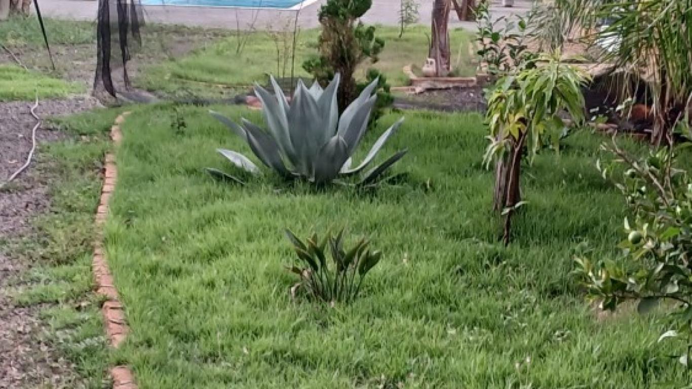 CHÁCARA NA Vila Nova Santana em Assis