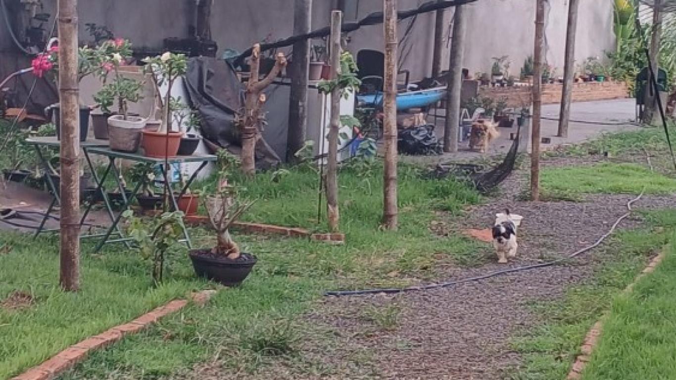 CHÁCARA NA Vila Nova Santana em Assis