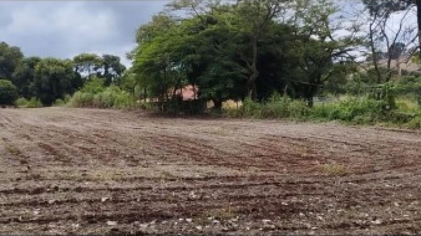 VENDA!!!