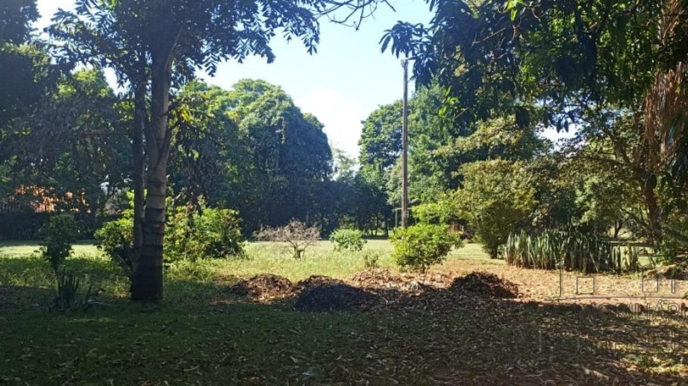 CHÁCARA NO Jardim Paulista em Assis