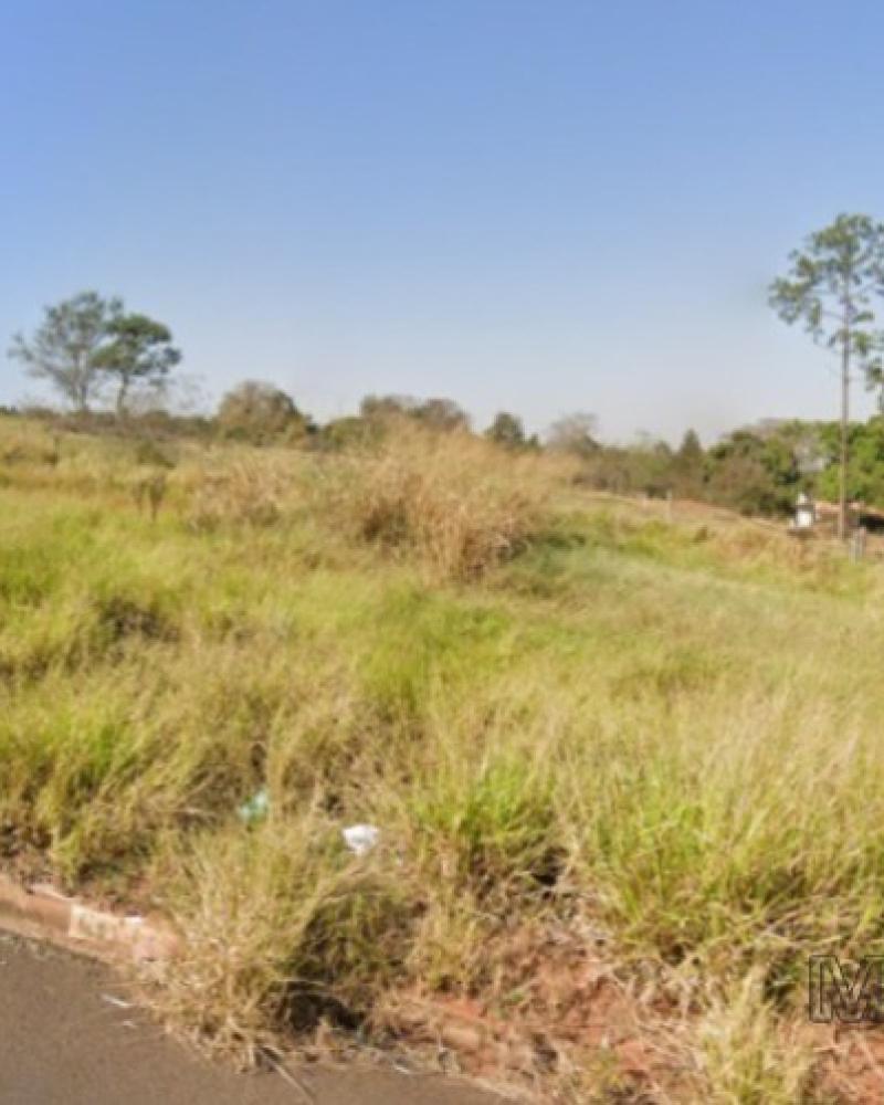 TERRENO NA ALTO DOS IPÊS em Assis