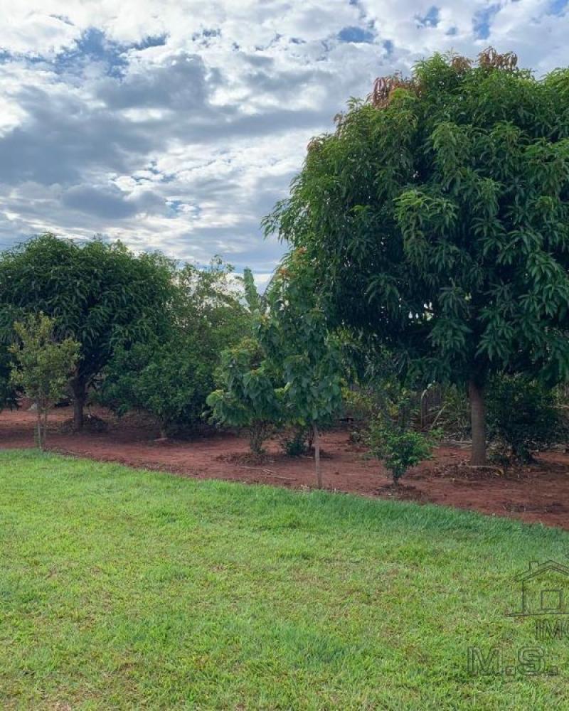 CASA NA ÁGUA DA PINGA em ASSIS