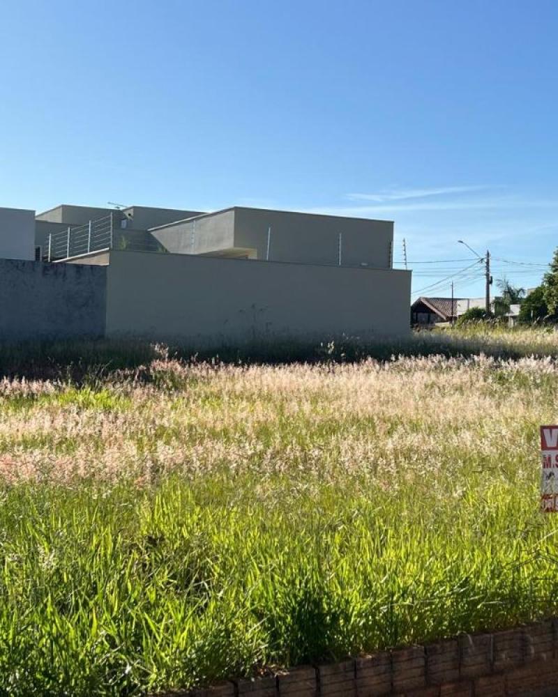 TERRENO NO Residencial Park Bambu em Assis