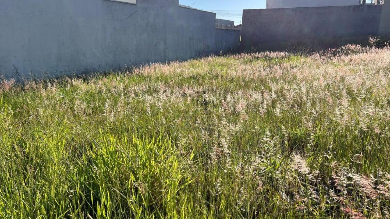 TERRENO NO Residencial Park Bambu em Assis