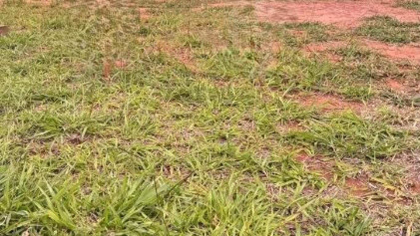 TERRENO NO Residencial Casablanca em Assis