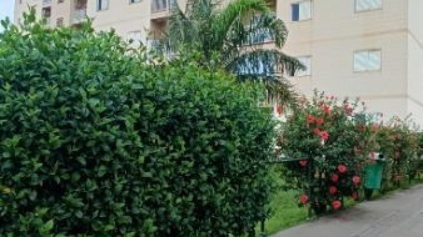 APARTAMENTO NA Conjunto Habitacional Nelson Marcondes em Assis