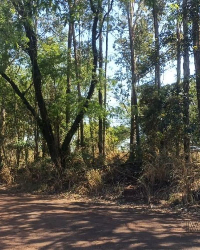 VENDA!!!
