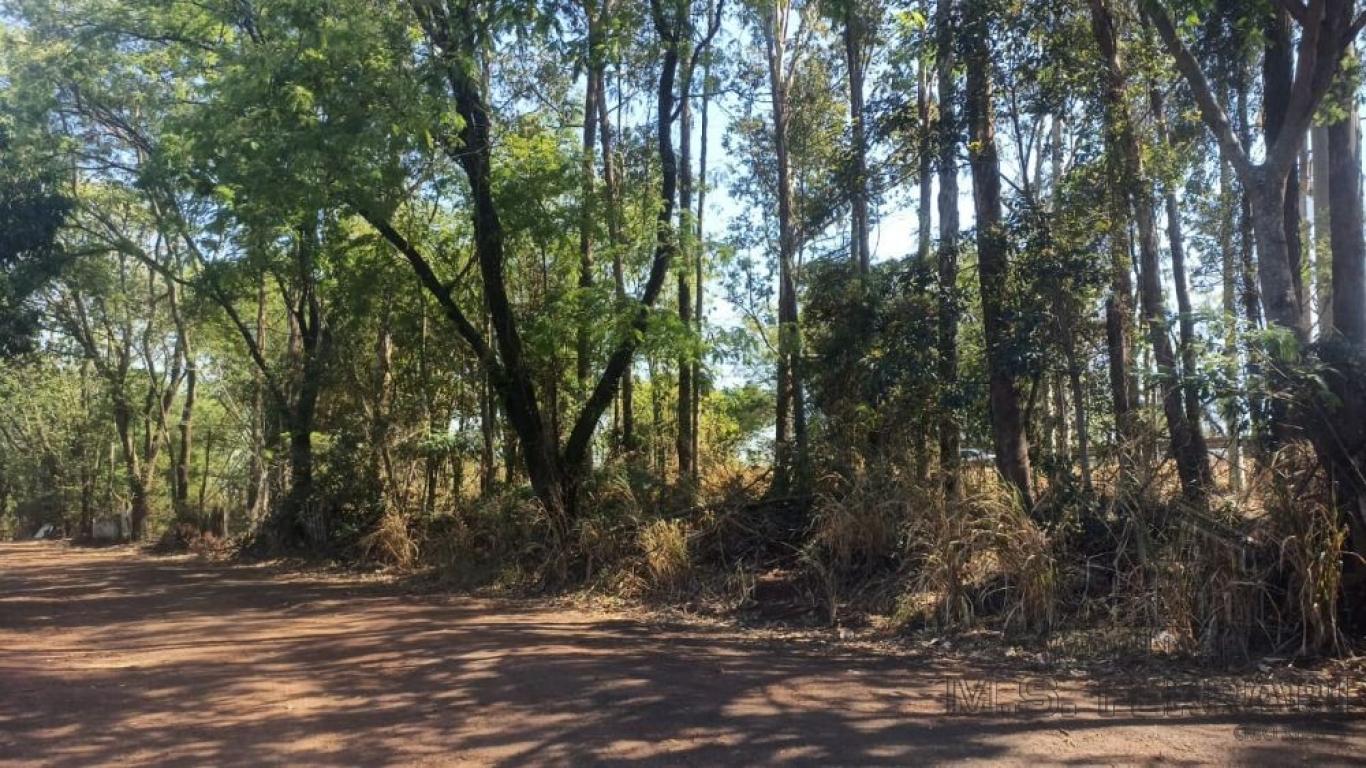 VENDA!!!