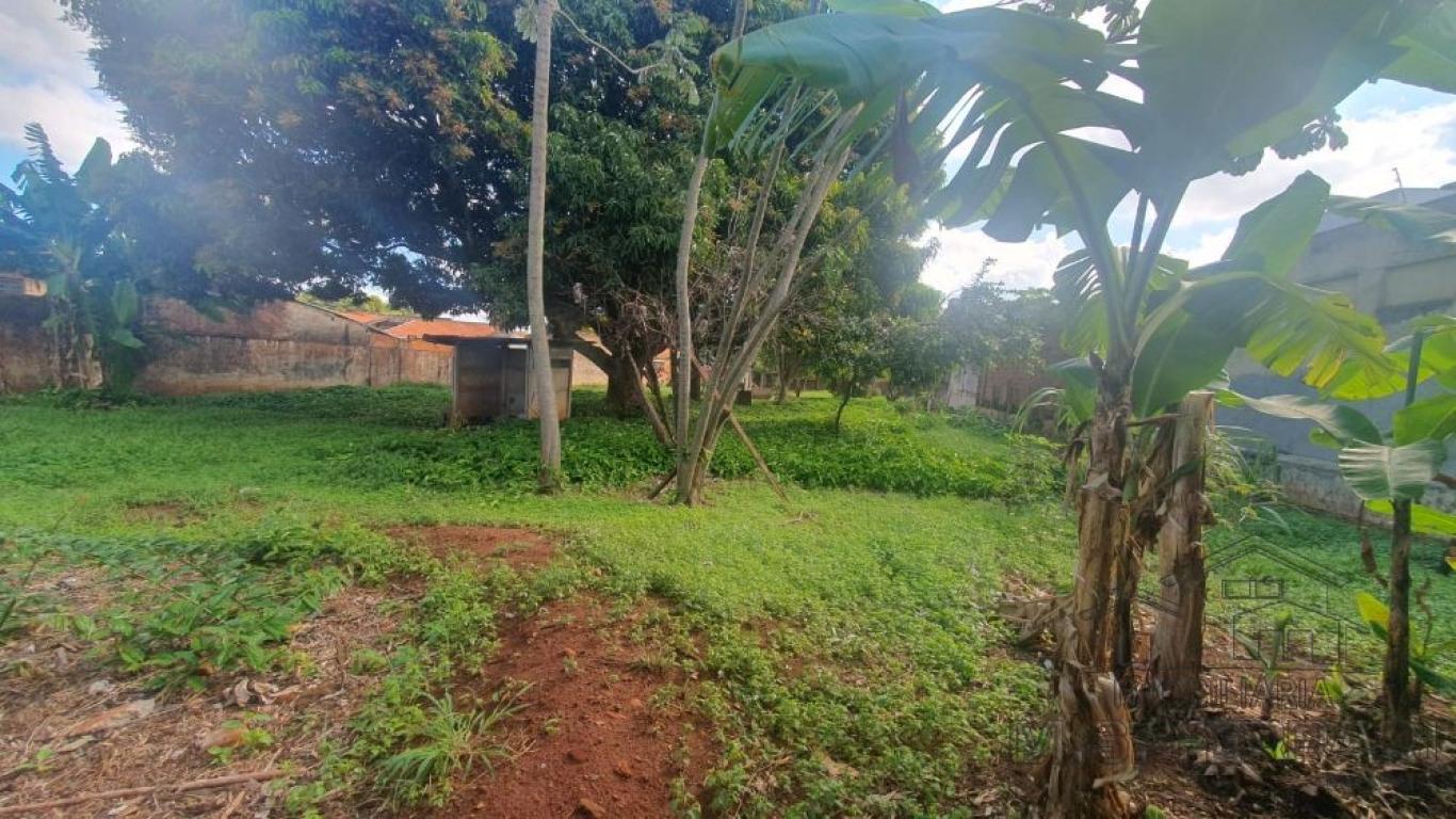 TERRENO NA Vila Central em Assis