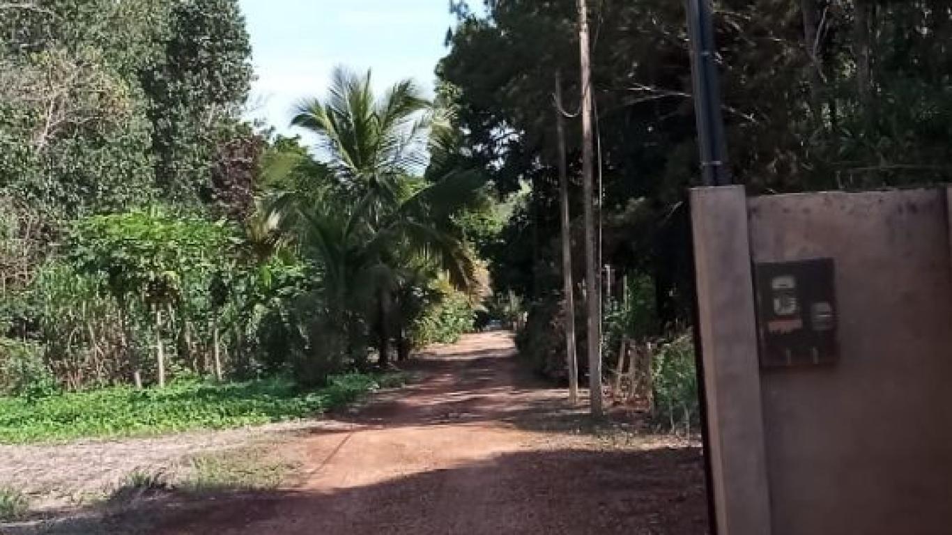 VENDA!!!