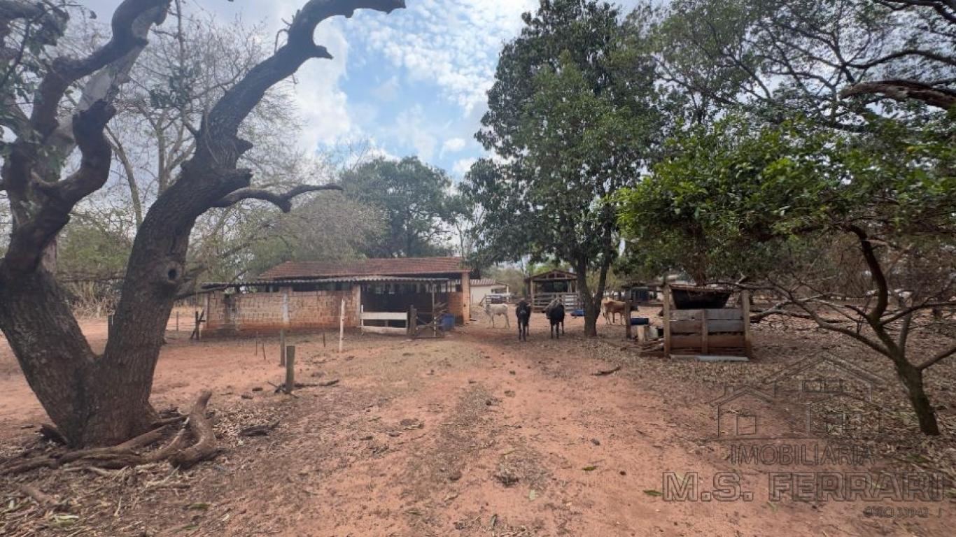 CHÁCARA NA PROX A FICAR em Assis