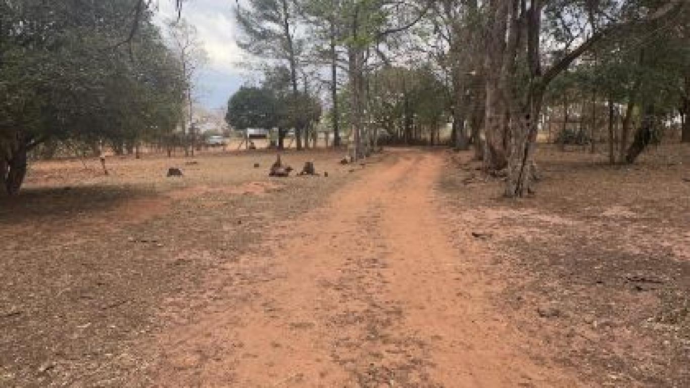 CHÁCARA NA PROX A FICAR em Assis