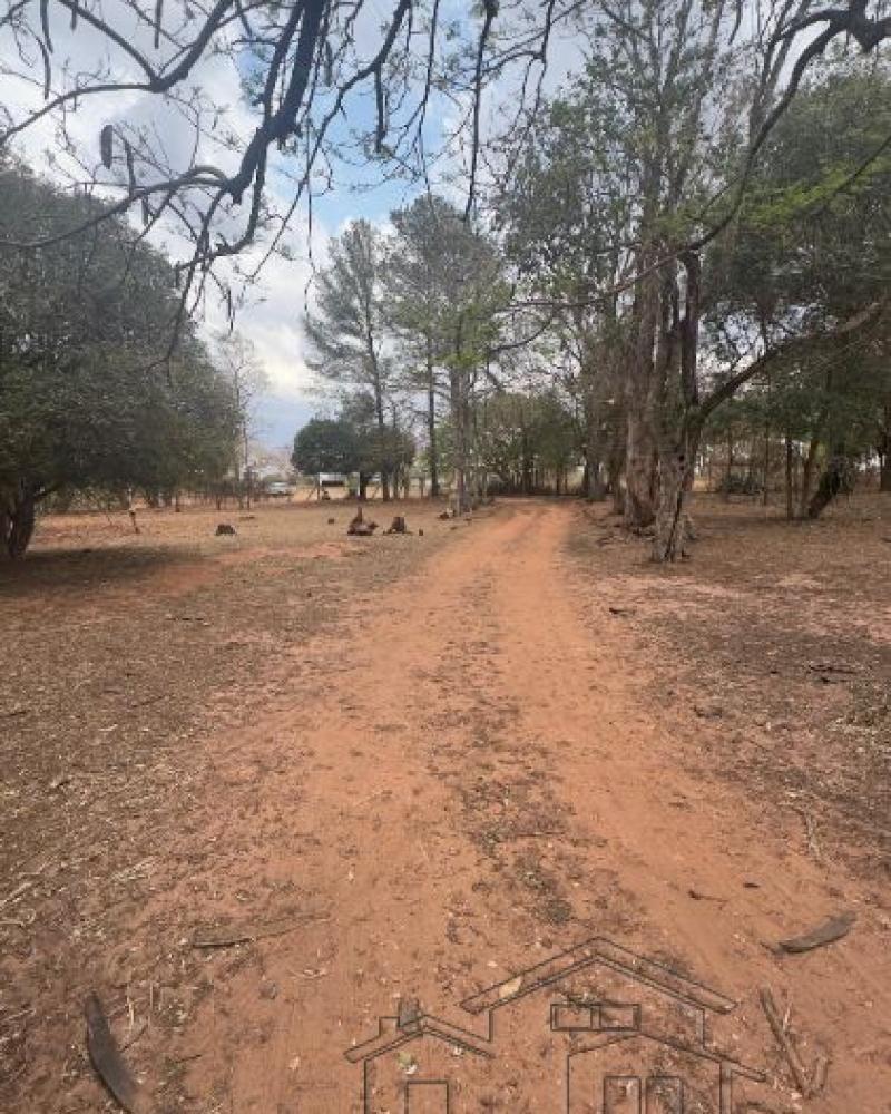 CHÁCARA NA PROX A FICAR em Assis