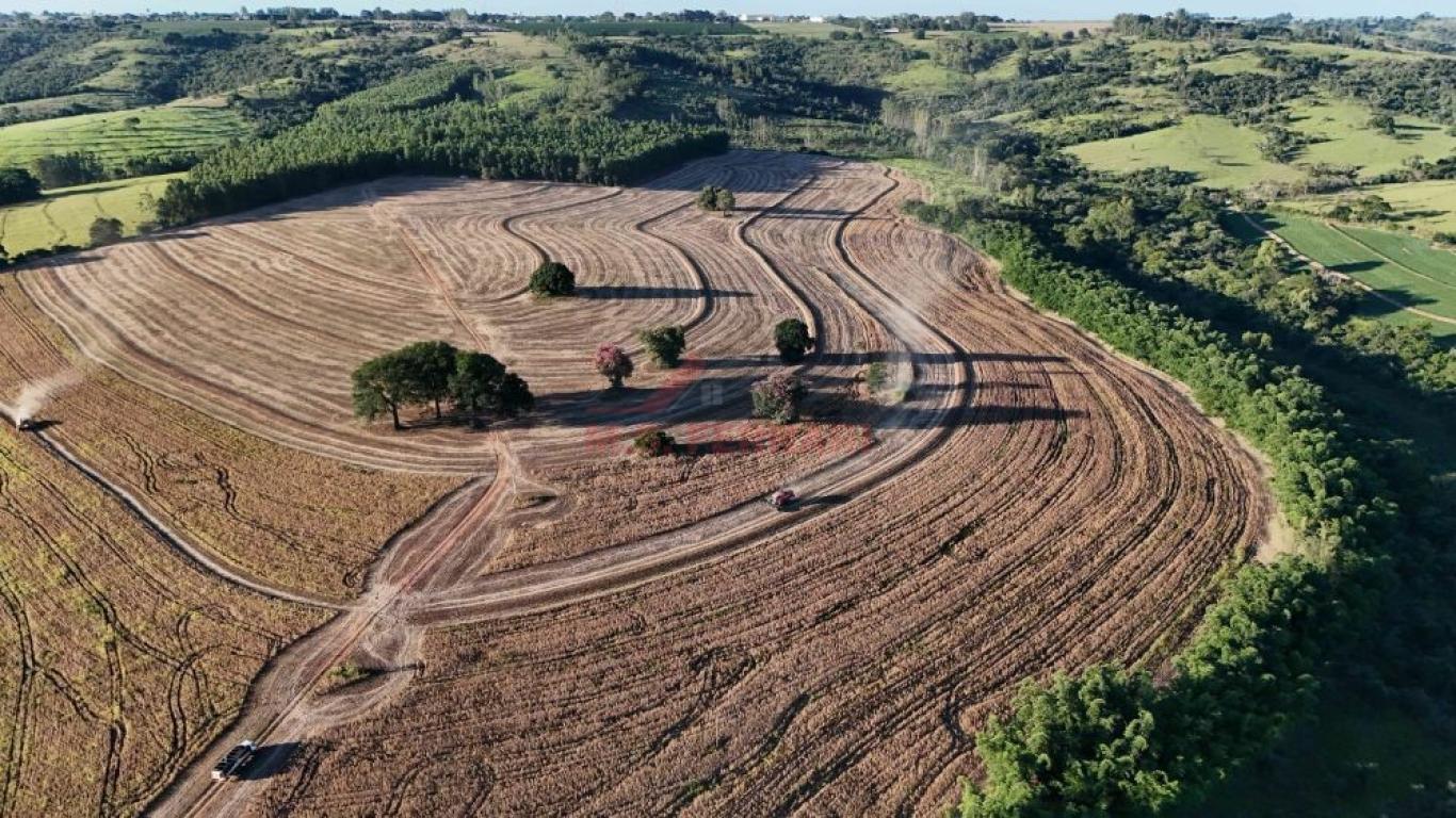 FAZENDA NA ECHAPORÃ em ECHAPORÃ