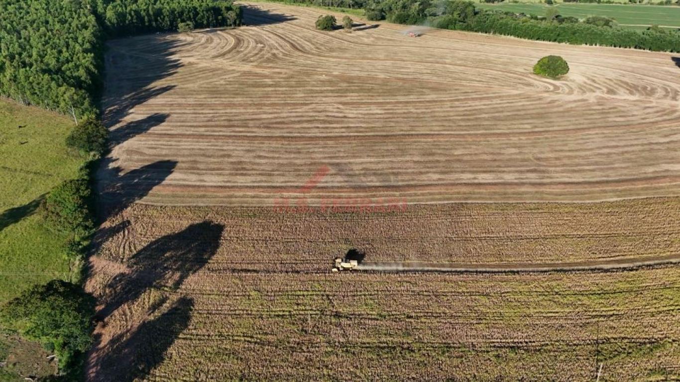 FAZENDA NA ECHAPORÃ em ECHAPORÃ