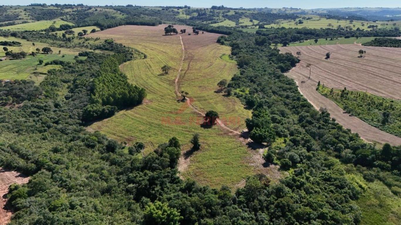 FAZENDA NA ECHAPORÃ em ECHAPORÃ
