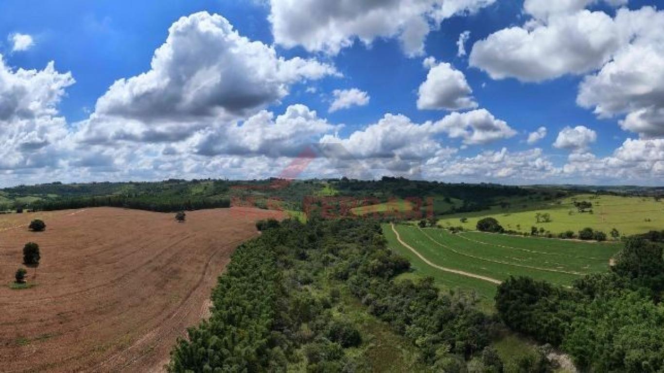 FAZENDA NA ECHAPORÃ em ECHAPORÃ