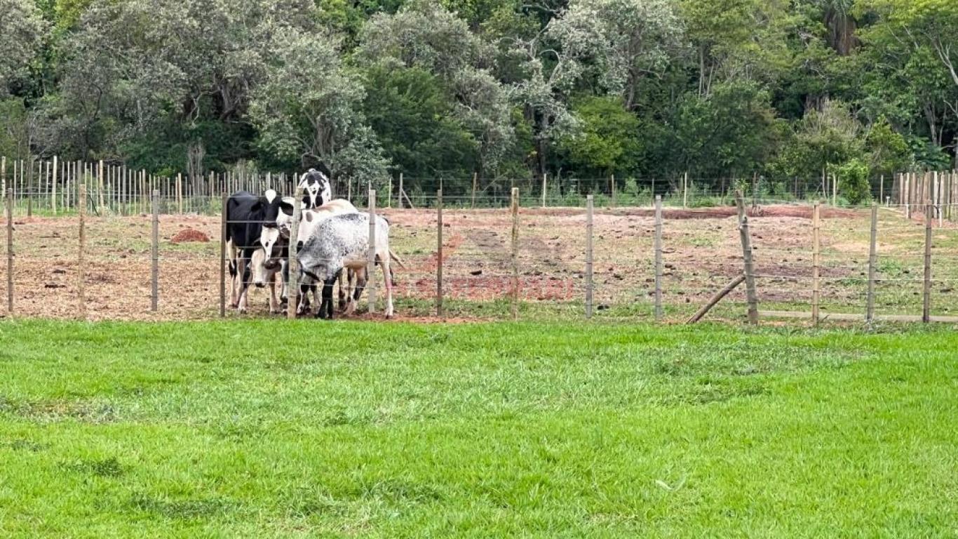 CHÁCARA NA CDA 3 em Assis