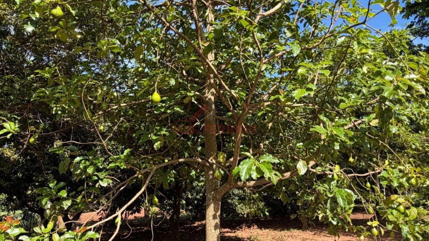 SÍTIO NA ÁGUA DA FILGUEIRA em Florínea