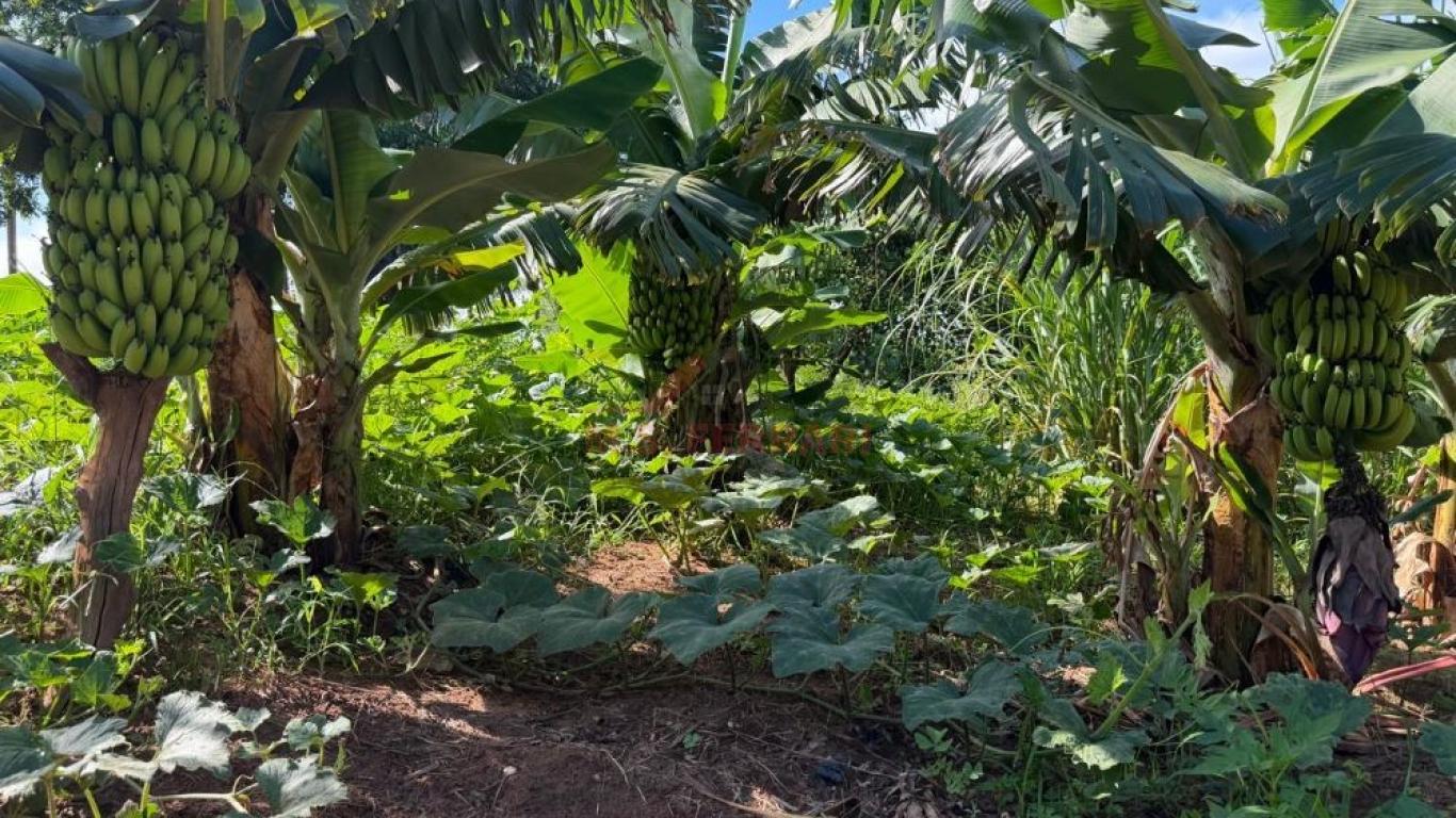SÍTIO NA ÁGUA DA FILGUEIRA em Florínea