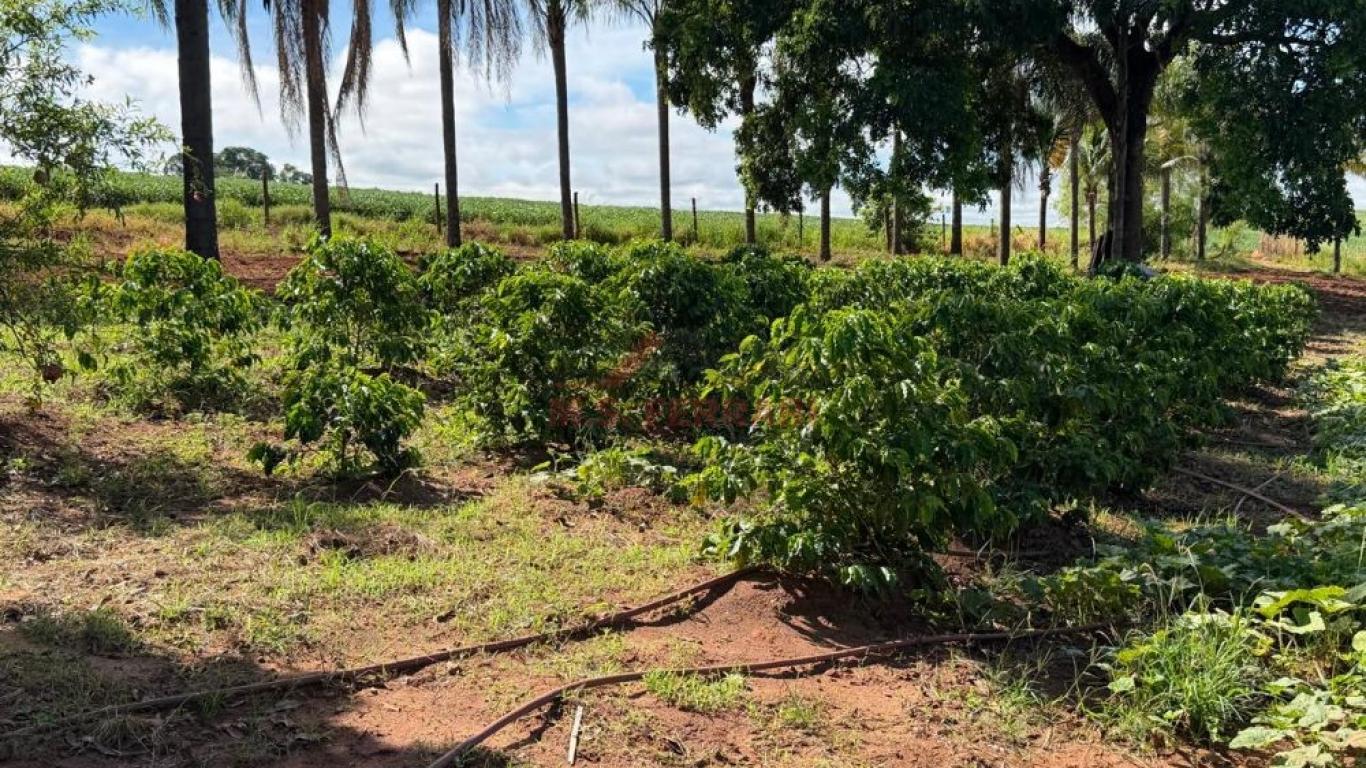 SÍTIO NA ÁGUA DA FILGUEIRA em Florínea