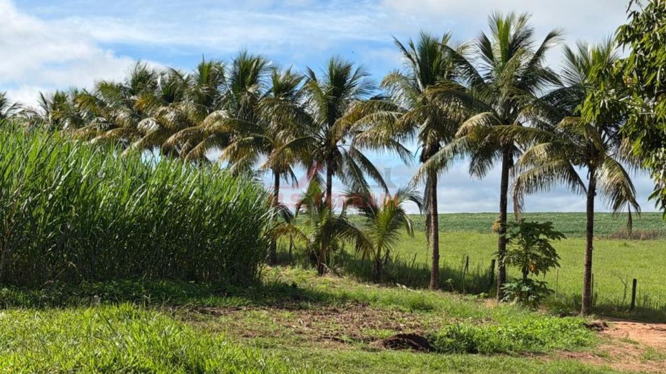 SÍTIO NA ÁGUA DA FILGUEIRA em Florínea