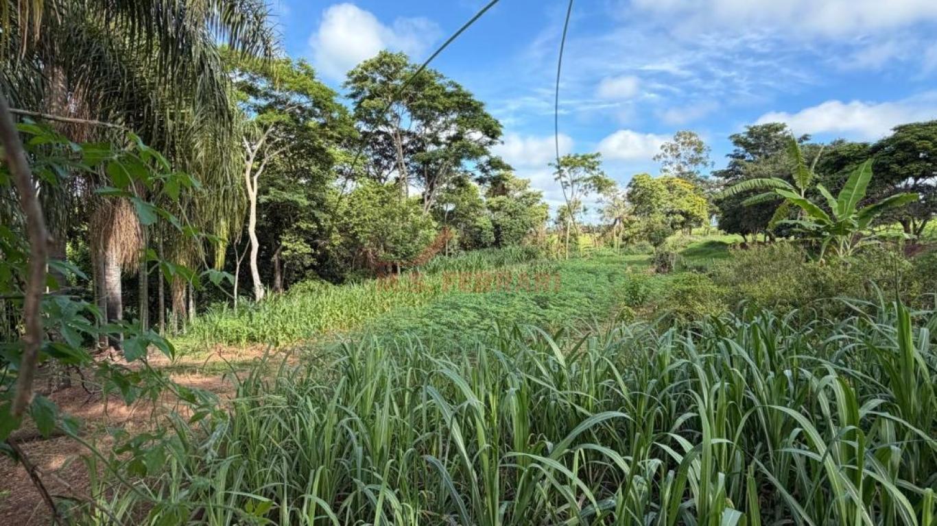 SÍTIO NA ÁGUA DA FILGUEIRA em Florínea