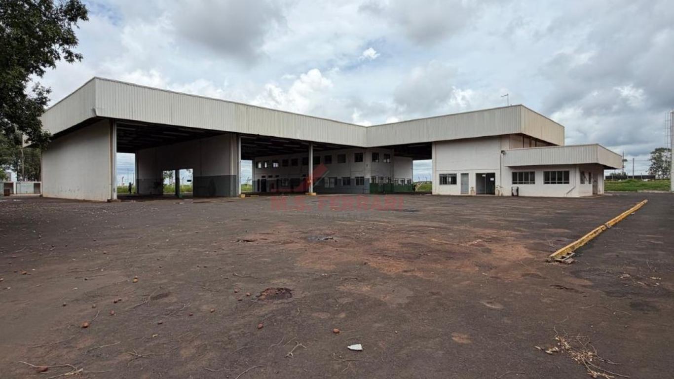 DEPÓSITO/GALPÃO NO Jardim Paulista em Assis