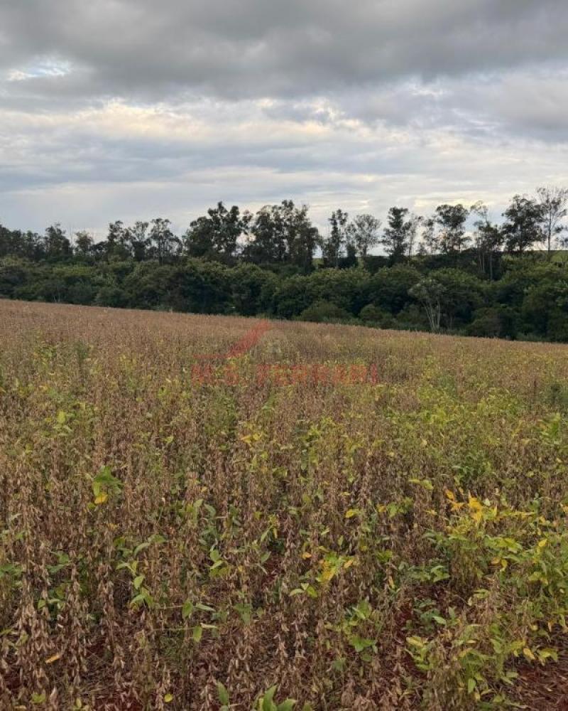 SÍTIO NA ÁGUA DA ANHUMAS em Cruzália