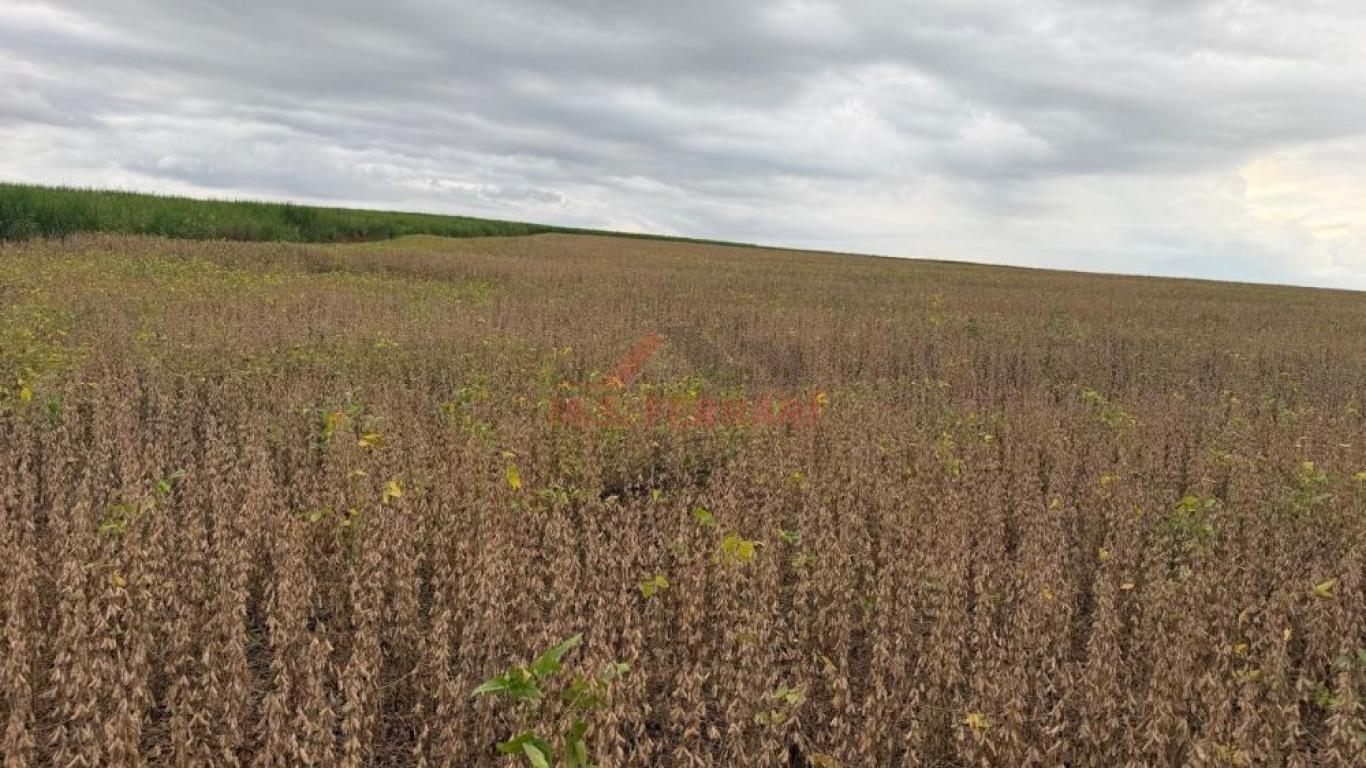 SÍTIO NA ÁGUA DA ANHUMAS em Cruzália