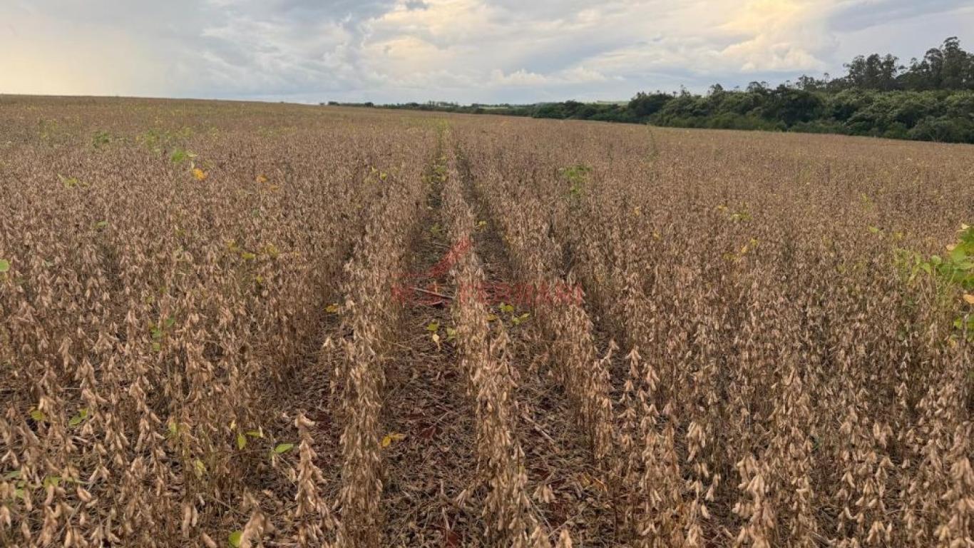 SÍTIO NA ÁGUA DA ANHUMAS em Cruzália