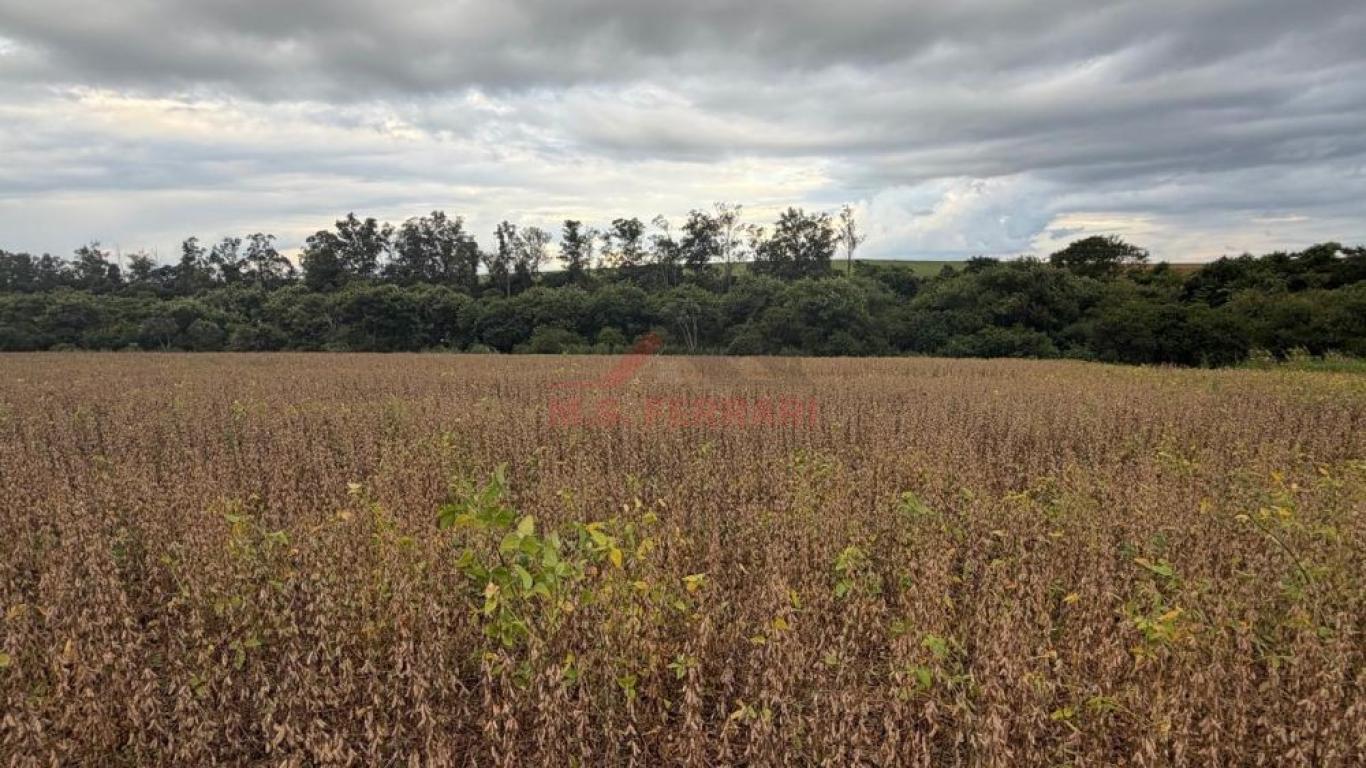 SÍTIO NA ÁGUA DA ANHUMAS em Cruzália