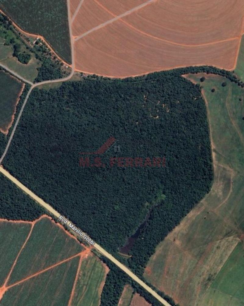 TERRENO NA RODOVIA 284 em ASSIS