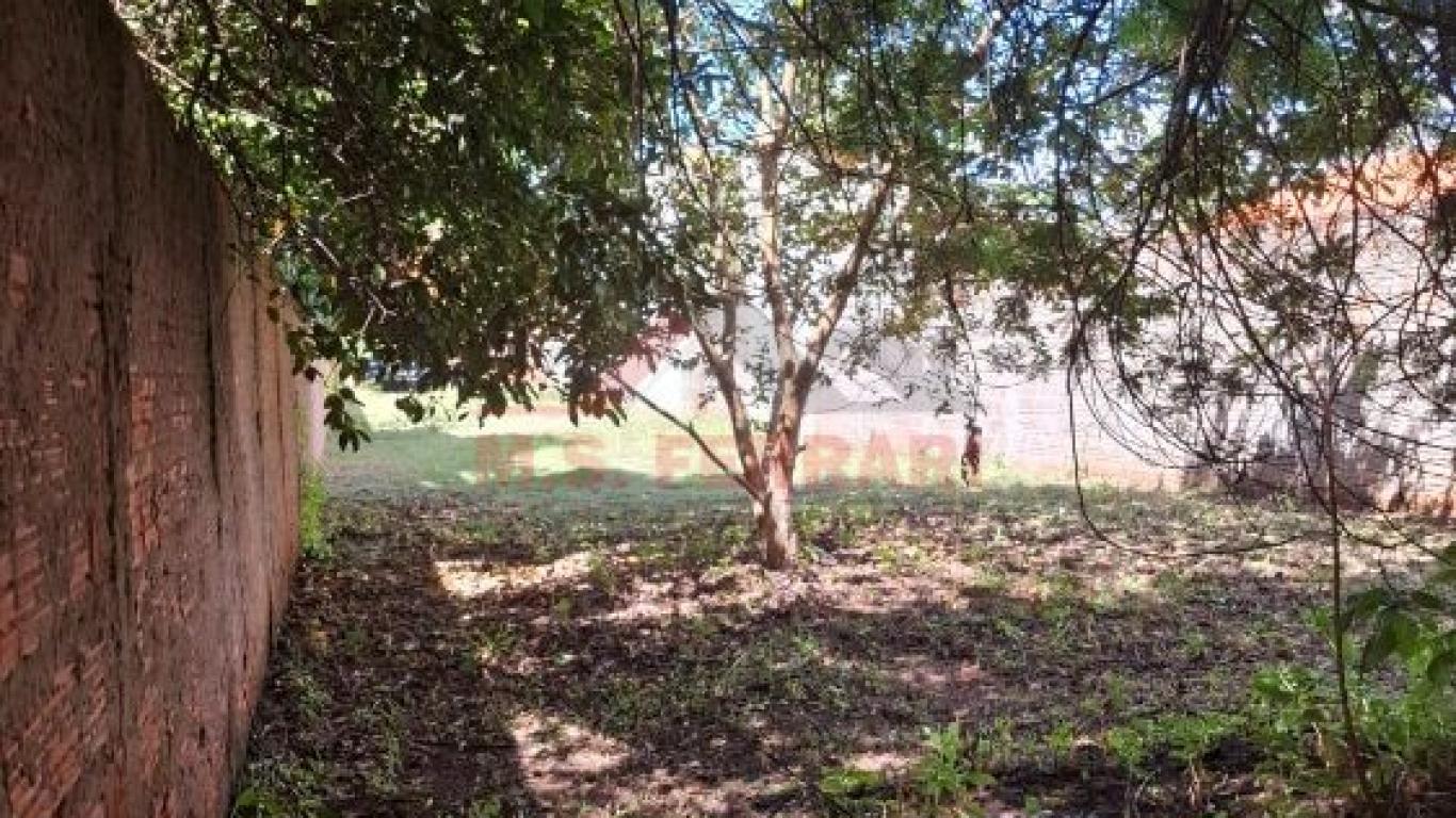 RANCHO NO Jardim Maria Estela em São Paulo