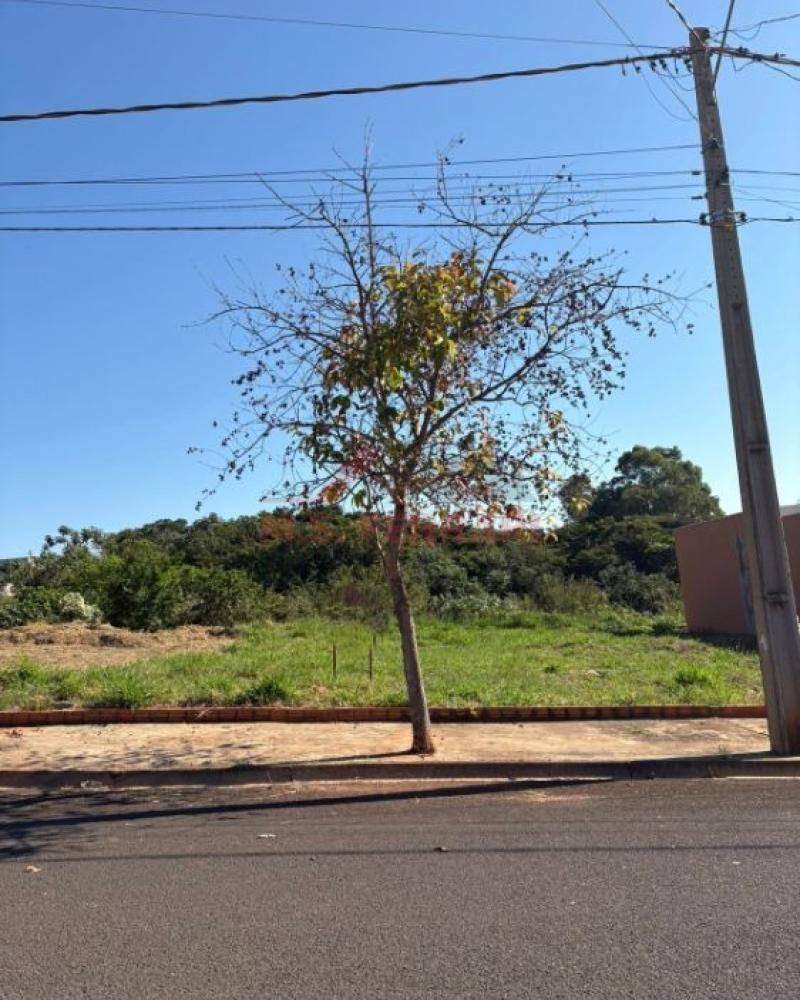TERRENO NO RESIDENCIAL PARK BAMBU em Assis