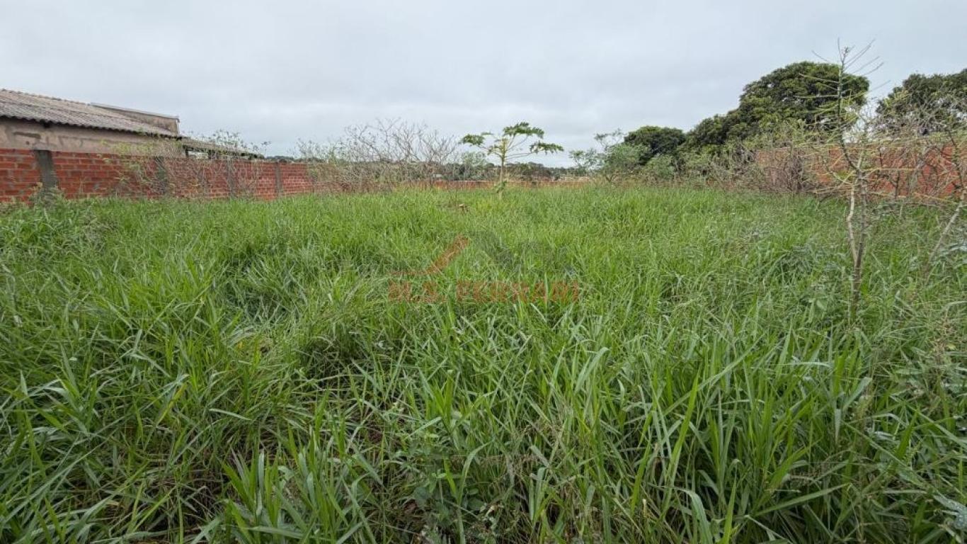 TERRENO NO Parque Universitário em Assis