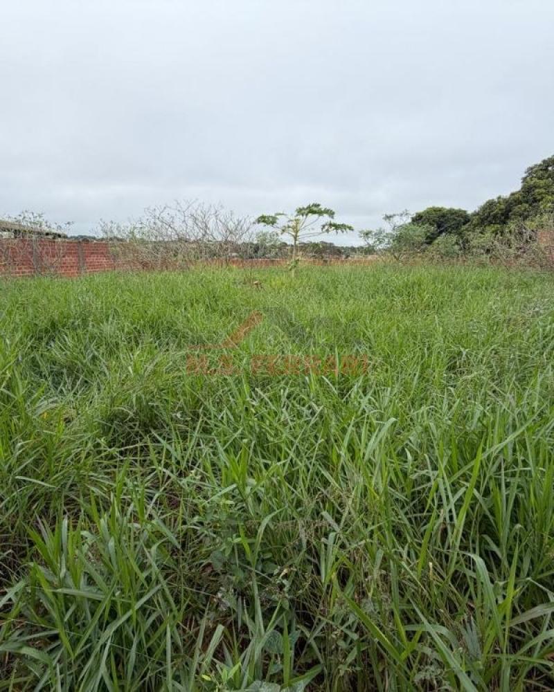TERRENO NO Parque Universitário em Assis