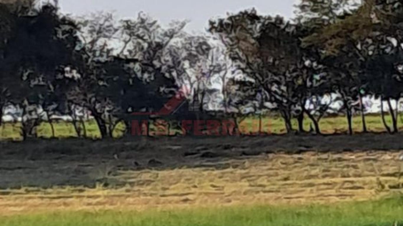 TERRENO NA ESTÂNCIA PUNTA DEL ESTE em SERTANEJA