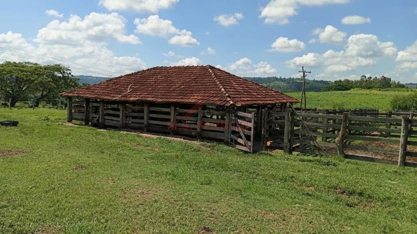 FAZENDA NA Centro em Vera Cruz