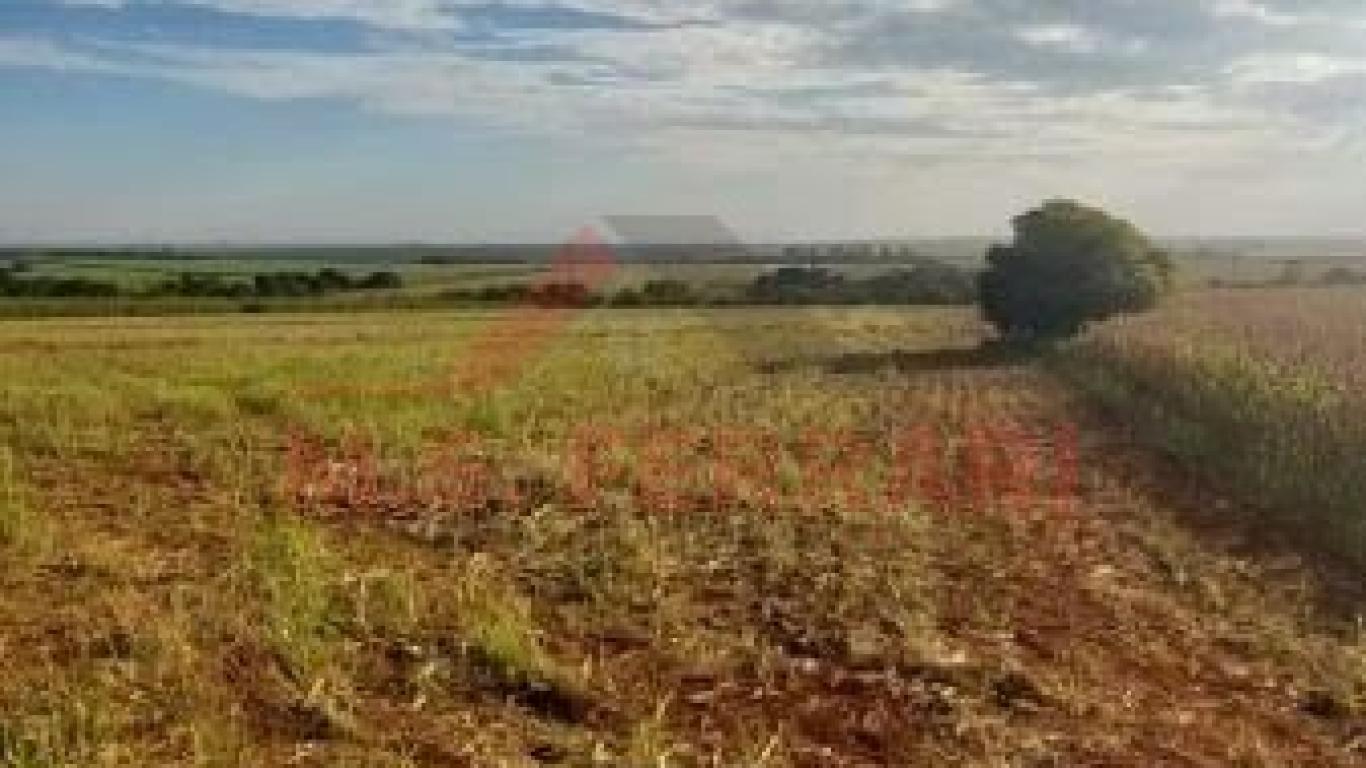 SÍTIO NA SÍTIO em CÂNDIDO MOTA