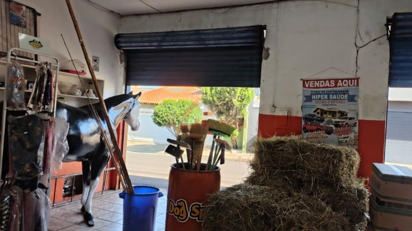 DEPÓSITO/GALPÃO NA Vila Tênis Clube em Assis