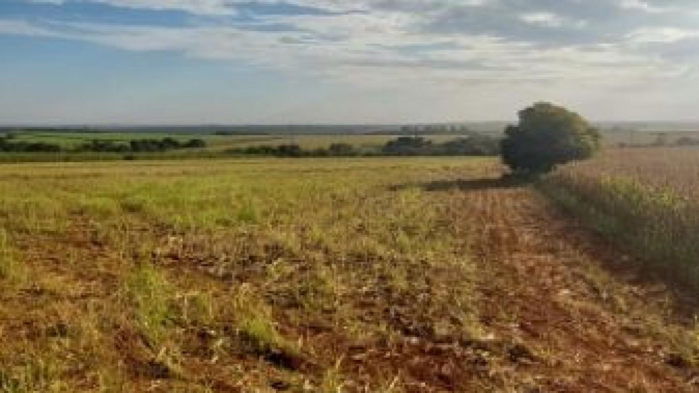 SÍTIO NA Área Rural de Cândido Mota em Cândido Mota