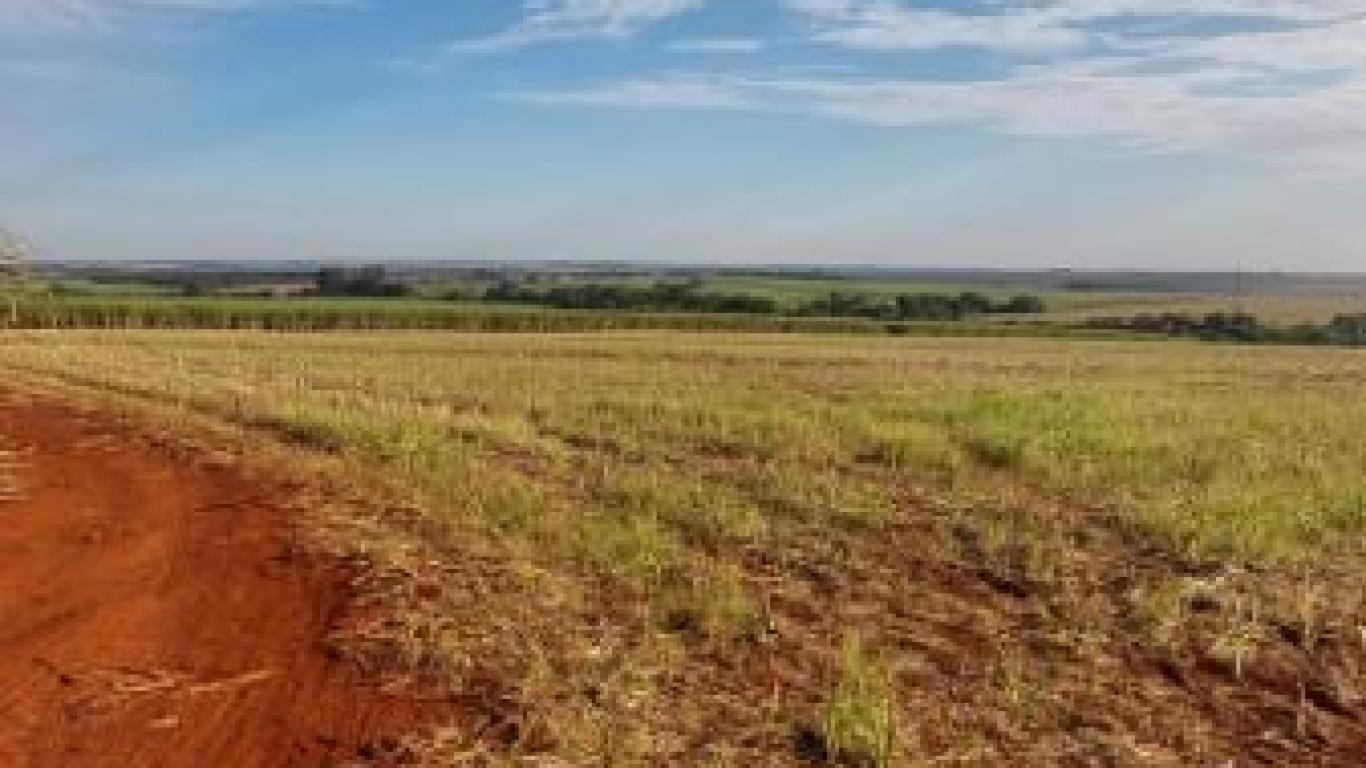 SÍTIO NA Área Rural de Cândido Mota em Cândido Mota