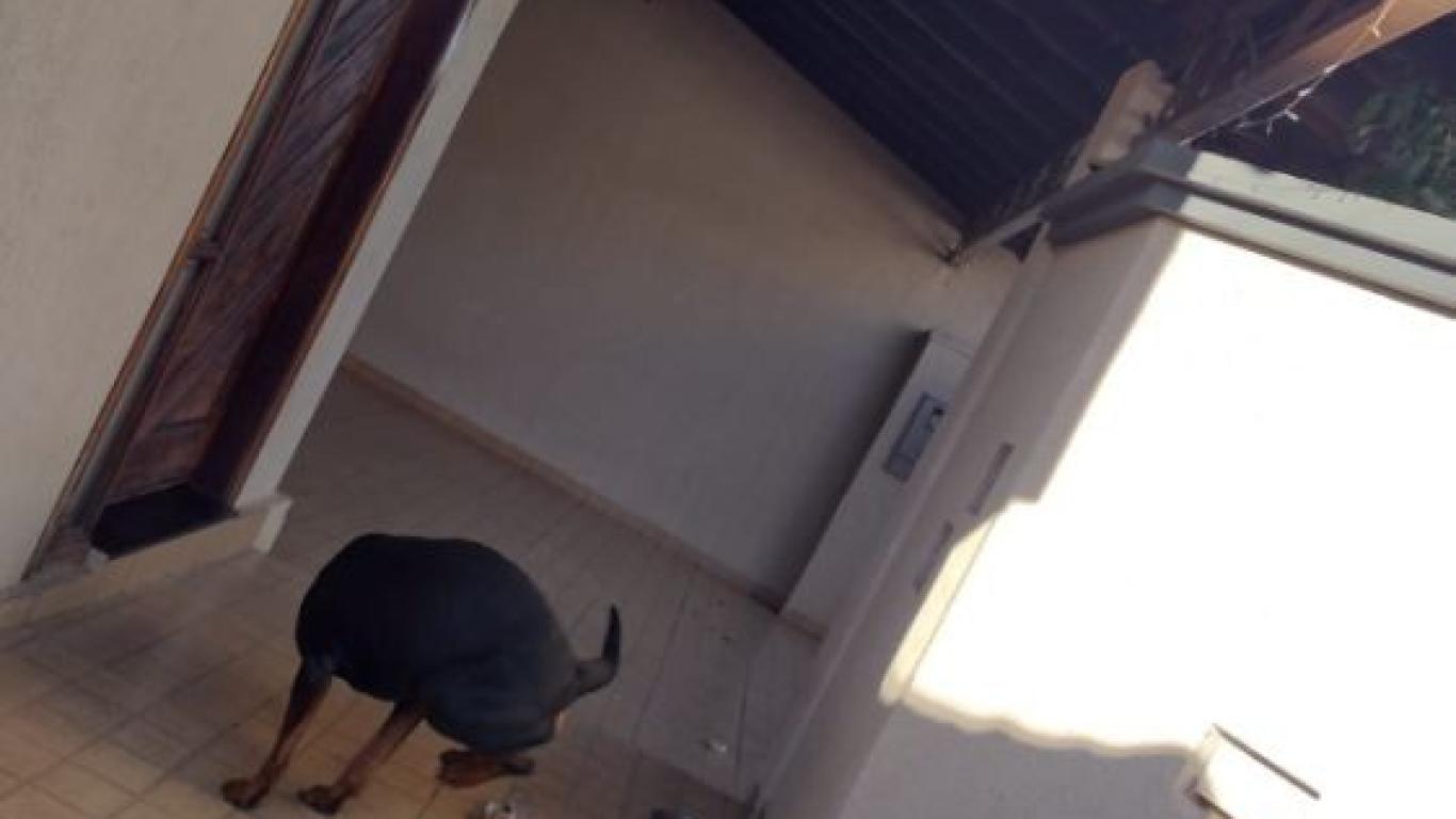 CASA NA Vila Prudenciana em Assis