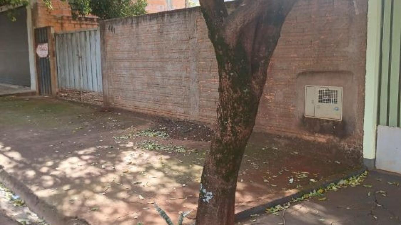 Terreno á Venda.