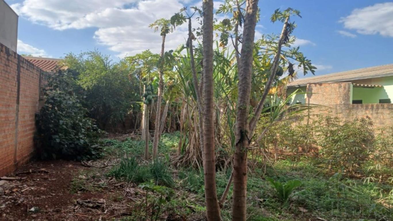 Terreno á Venda.